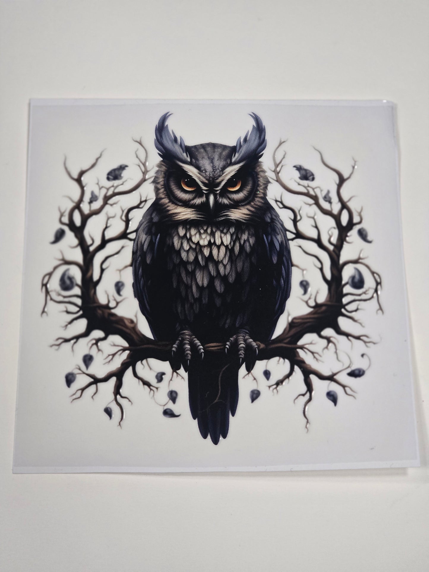 Owl