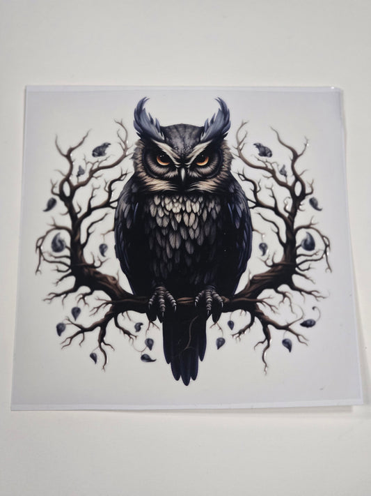 Owl